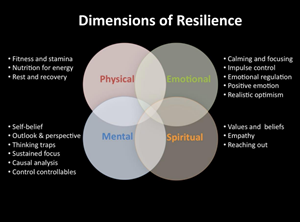 Dimensions of Resilience by Elizabeth Edwards